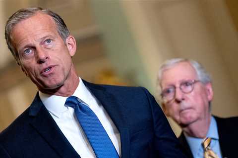 John Thune, a Likely Successor to Mitch McConnell, Weighs Retirement