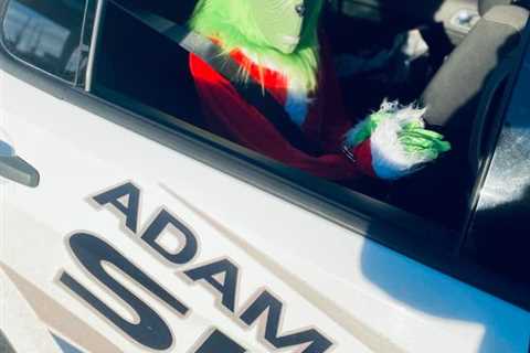 Grinch apprehended for theft of Christmas spirit