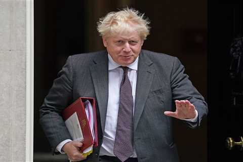 British Gas want Boris Johnson to scrap unfair green taxes to cut bills by £170 overnight