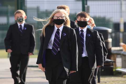 Face masks in schools could be ditched within weeks as Covid cases have peaked