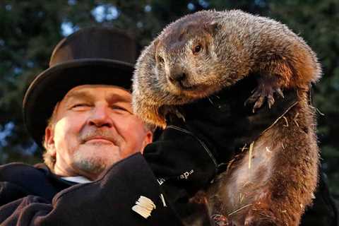 The Groundhog Day Debacle (a little fun)