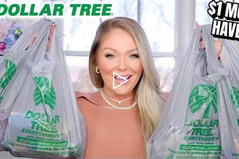 DOLLAR TREE HAUL 2022 | $1 HIDDEN GEMS YOU NEED! NEW Makeup, Beauty, Organization + more!