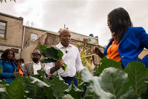 The ‘Zen Mayor’: How Eric Adams Mixes Tough Talk With Spinach Smoothies