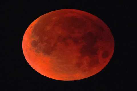 Lunar Showstopper: Super Blue Blood Moon impresses and excites