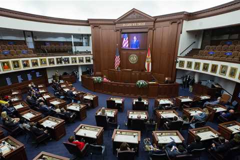 Florida Senate Passes Voting Bill to Create Election Crimes Agency