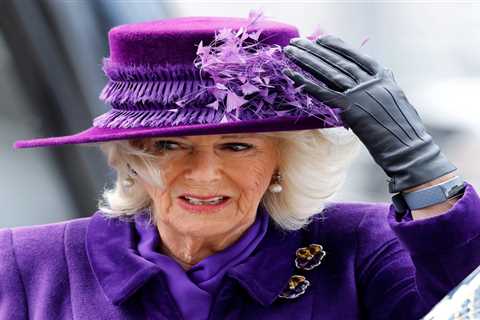 Camilla cancels day at Cheltenham as she struggles to overcome Covid after testing positive a month ..