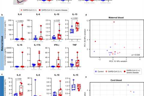 Maternal-fetal immune responses in pregnant women infected with SARS-CoV-2