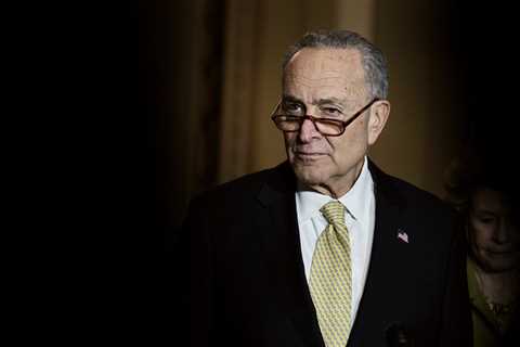 How Chuck Schumer Avoided a Primary Challenge From the Left