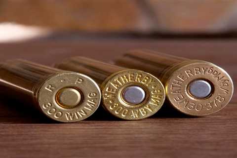 Fastest .30-Caliber Rifle Cartridge in the World: The .30-378 Weatherby Magnum