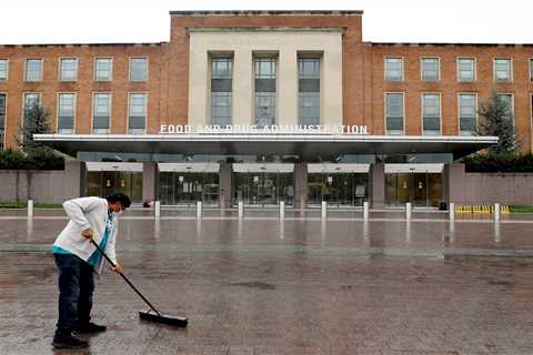 Mice occupy FDA offices after food left behind in pandemic