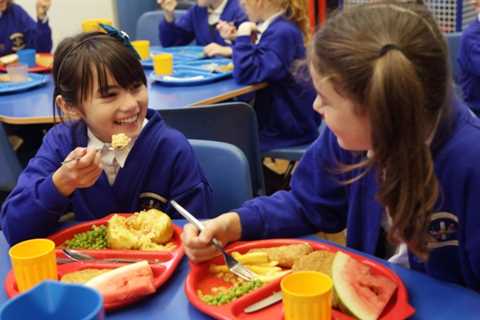 School dinner portions to shrink under new plans & kids given ‘lesser quality’ meals amid..