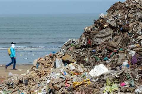 Tamil Nadu’s Ranipet district sets world record: Volunteers gather 186 lots of plastic waste in..