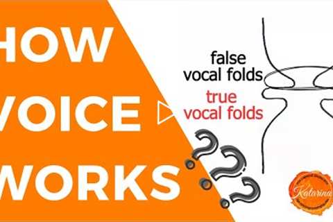 How Voice Works: Anatomy and Physiology of Voice