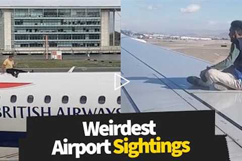 Weirdest Airport Sightings Caught on Video 😱