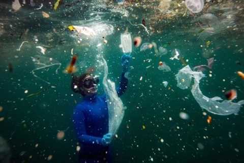 International plastic waste is anticipated to triple by 2060