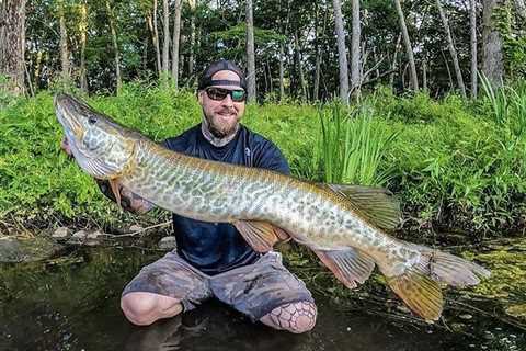 Angler Surprised to Catch Two Huge Tiger Muskies in Connecticut Reservoir