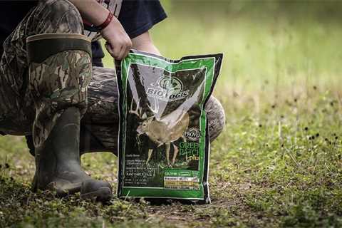 The Best Food Plots for Deer of 2022