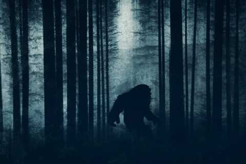 Ohio Woman Claims to Have Recorded Bigfoot Howls … Or Was it Coyotes?