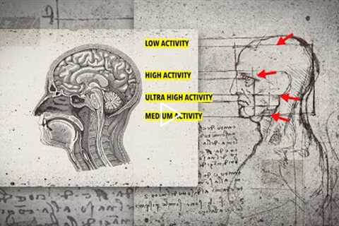 This Old Paper reveals Secrets about The Brain