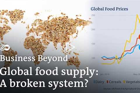 A world going hungry? How conflict and climate change disrupt global food supply | Business Beyond