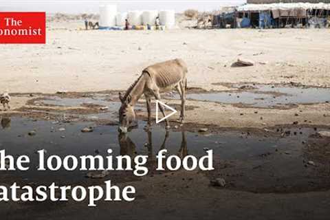 The global food crisis, explained