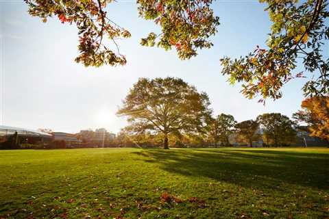 University Circle in Cleveland might just be the prettiest place in Ohio — just your state