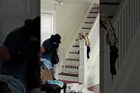 Disturbing exclusive video shows serial burglar inside Queens home