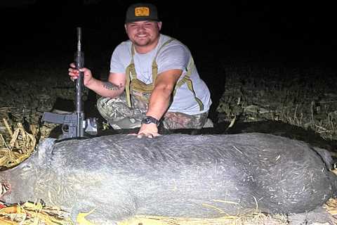 Texas Hog Hunter Drops Massive Boar on Nighttime Stalk