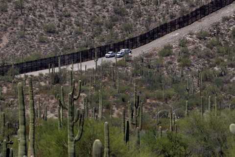 Border Patrol rescues baby, toddler left in Arizona desert |  Ap