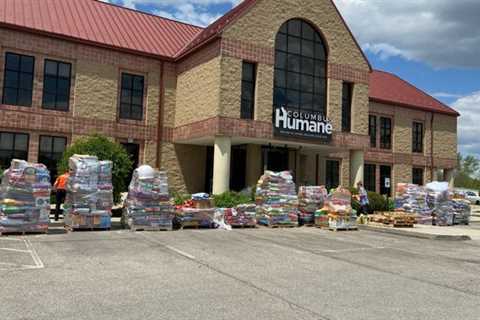 Dogs saved from Virginia animal testing facility arrive in Columbus