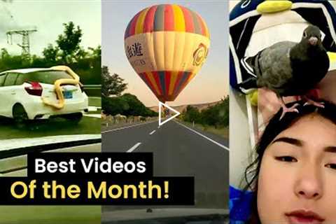 Top 35 Best Viral Videos of the Month! (August 2022)