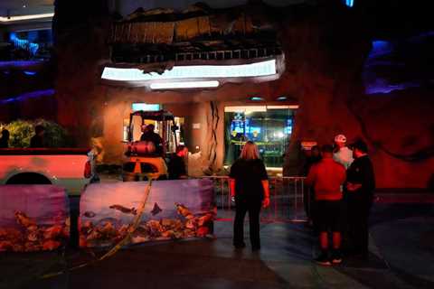 Woman injured in collapse at Downtown Aquarium, officials say