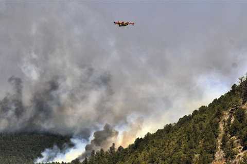 US restarts forest fuel burning halted after runaway fire |  Ap top news