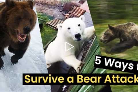 5 Things to do to Survive a Bear Attack