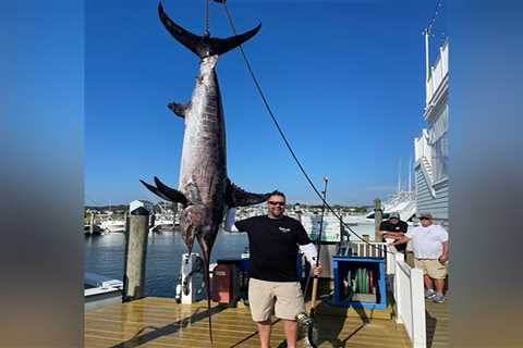 New Maryland Swordfish Crushes Previous State Record by 75 Pounds