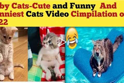 Baby Cats-Cute and Funny and Funniest Cats Video Compilation