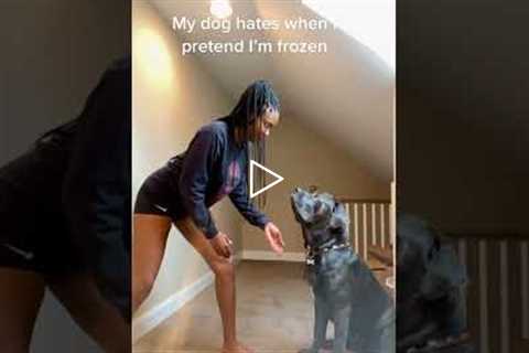 Woman plays prank on dog and he hates it