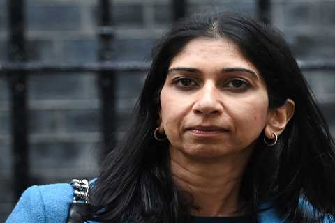 Home Secretary Suella Braverman was probed over allegations she leaked sensitive details on..