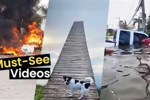 Must-See Videos of the Week