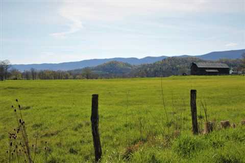 Report: Agricultural investments to clean up the bay are boosting the economy