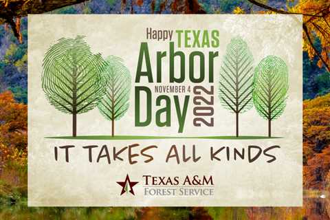 Texas A&M Forest Service Celebrates Arbor Day With School Presentations, Tree Plantings