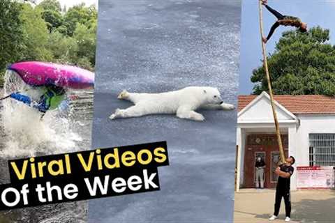 Top 10 Videos of the Week