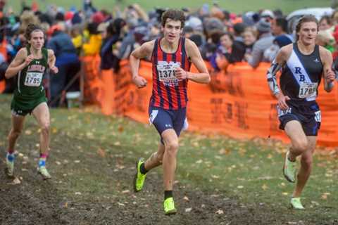 IHSA cross country state finals: Rockford-area runners results