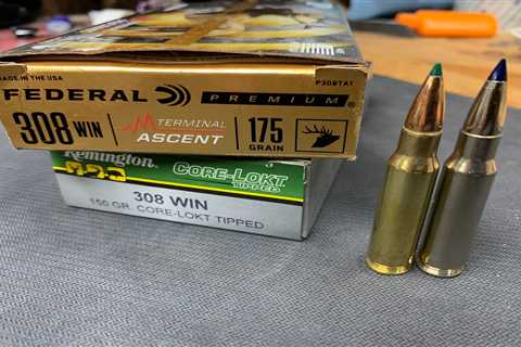 The Best .308 Hunting Ammo of 2022