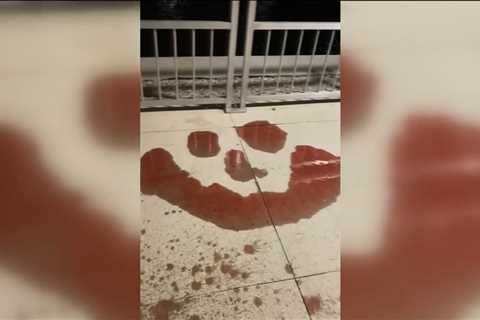 Creepy red smiley face found under Cape Coral bridge