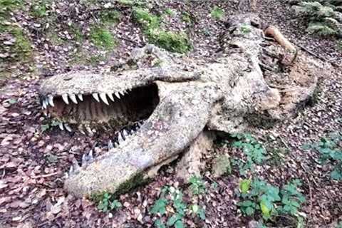 This Paleontologist Made A Surprising Discovery After She Dug Up This Tyrannosaurus Rex & Found ..