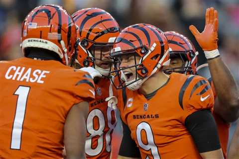 Cleveland Browns vs. Cincinnati Bengals Odds, Lines, Spread and Tips NFL Week 14