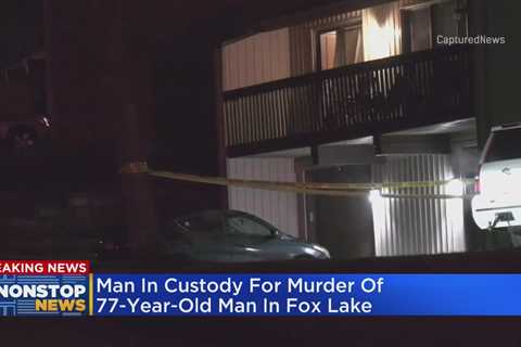 77-year-old man shot, killed inside Fox Lake home; suspect in custody