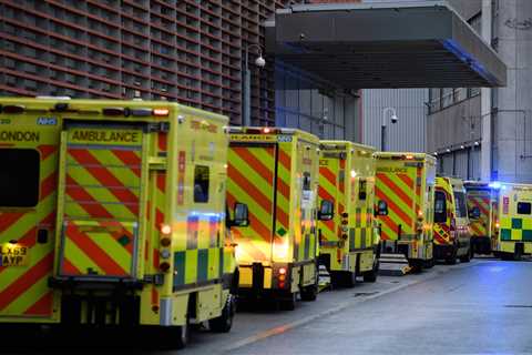 Stubborn union chiefs ‘risking patients’ lives’ by blocking emergency planning for ambulance strikes