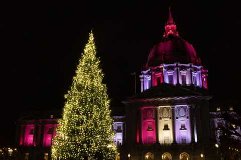 Go to These Gorgeous Vacation Bushes in San Francisco